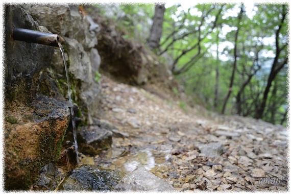 [La sorgente Bukovec]