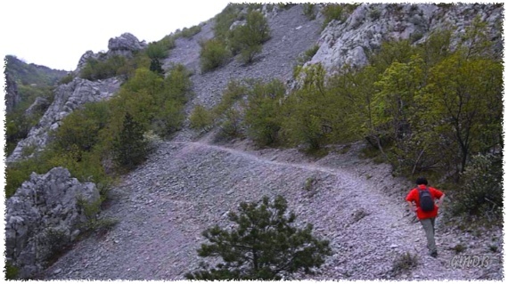 [La lunga diagonale sul versante nord-est del Monte Carso]